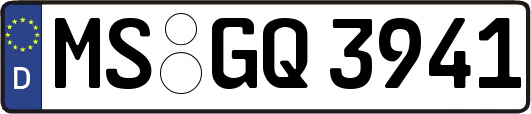 MS-GQ3941