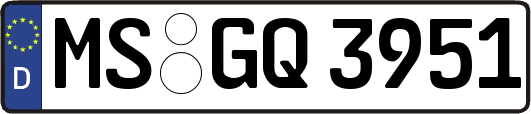 MS-GQ3951
