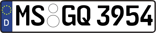 MS-GQ3954