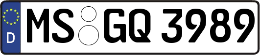 MS-GQ3989