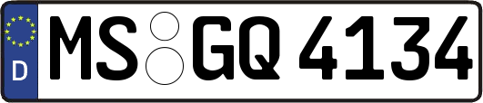 MS-GQ4134