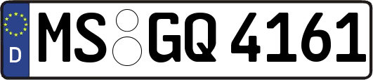 MS-GQ4161