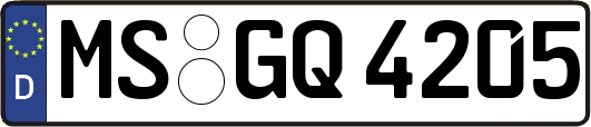 MS-GQ4205