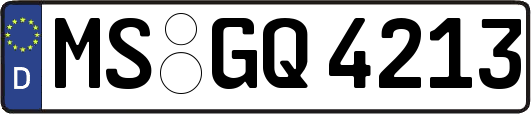 MS-GQ4213