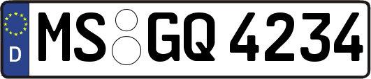 MS-GQ4234