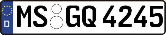 MS-GQ4245