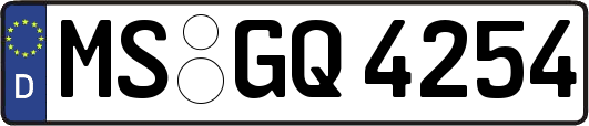 MS-GQ4254