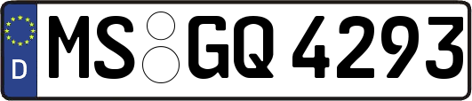 MS-GQ4293