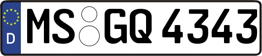 MS-GQ4343