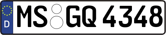 MS-GQ4348