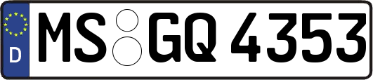 MS-GQ4353