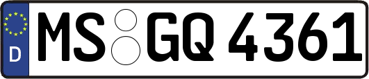 MS-GQ4361