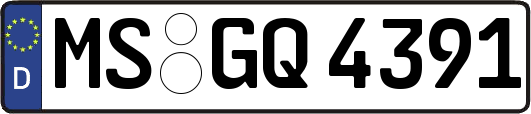 MS-GQ4391