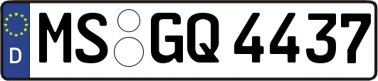 MS-GQ4437