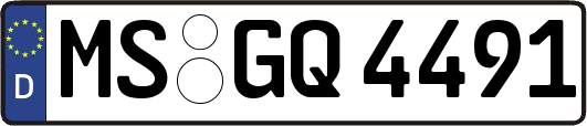 MS-GQ4491