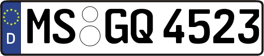 MS-GQ4523