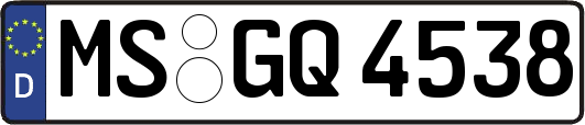 MS-GQ4538