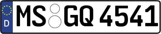 MS-GQ4541