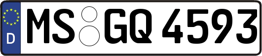 MS-GQ4593