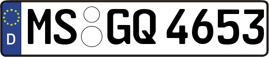 MS-GQ4653