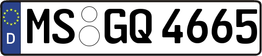 MS-GQ4665