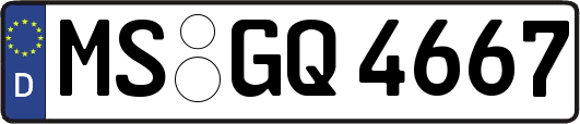 MS-GQ4667