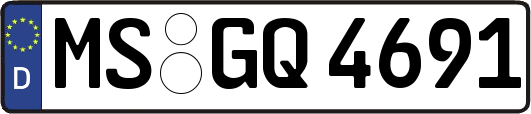 MS-GQ4691