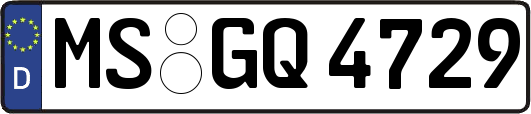 MS-GQ4729