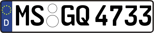 MS-GQ4733