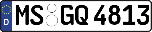 MS-GQ4813