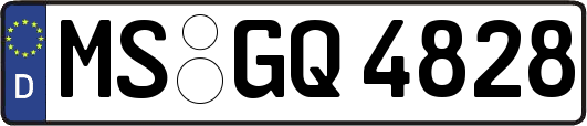 MS-GQ4828