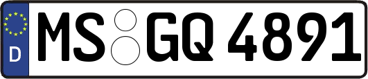 MS-GQ4891