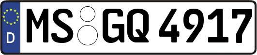 MS-GQ4917