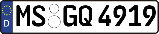 MS-GQ4919