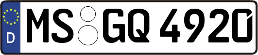 MS-GQ4920