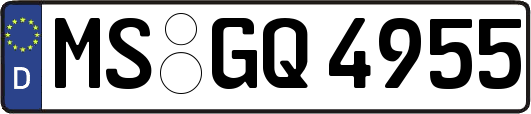 MS-GQ4955