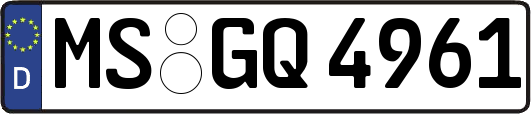 MS-GQ4961