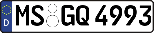 MS-GQ4993