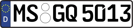 MS-GQ5013