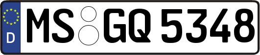 MS-GQ5348