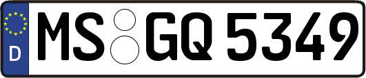 MS-GQ5349