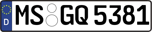 MS-GQ5381