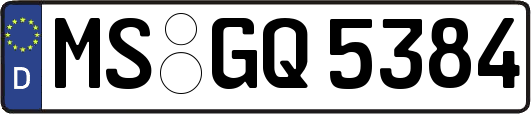 MS-GQ5384