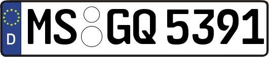 MS-GQ5391