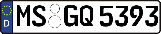 MS-GQ5393