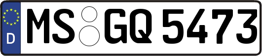 MS-GQ5473