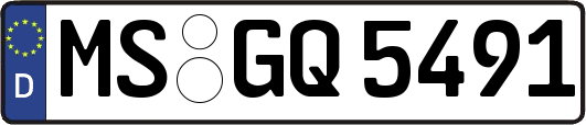 MS-GQ5491