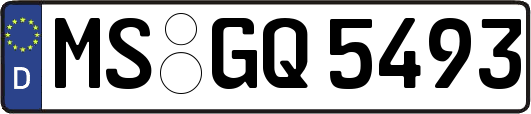 MS-GQ5493