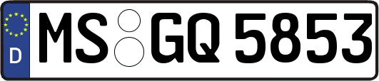 MS-GQ5853