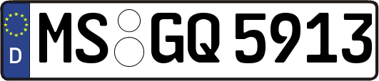 MS-GQ5913